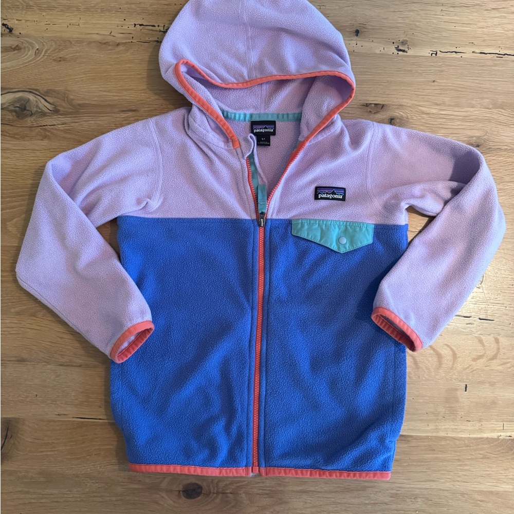 Patagonia Purple and Blue Fleece Hoodie